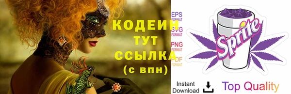 гашик Коряжма