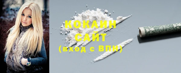 гашик Коряжма