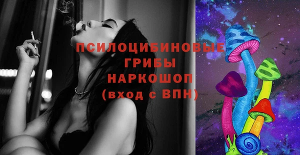 гашик Коряжма