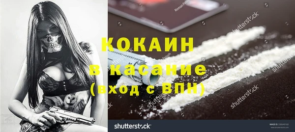 гашик Коряжма