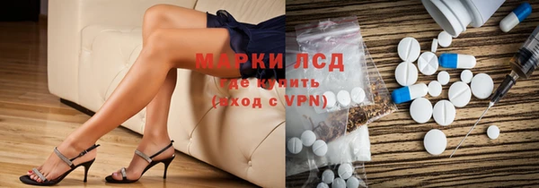 гашик Коряжма